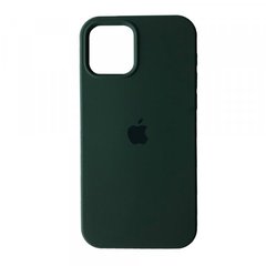 Silicone Case Full for iPhone 11 Pro Max (64) cyprus green
